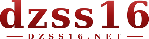 dzss16 logo